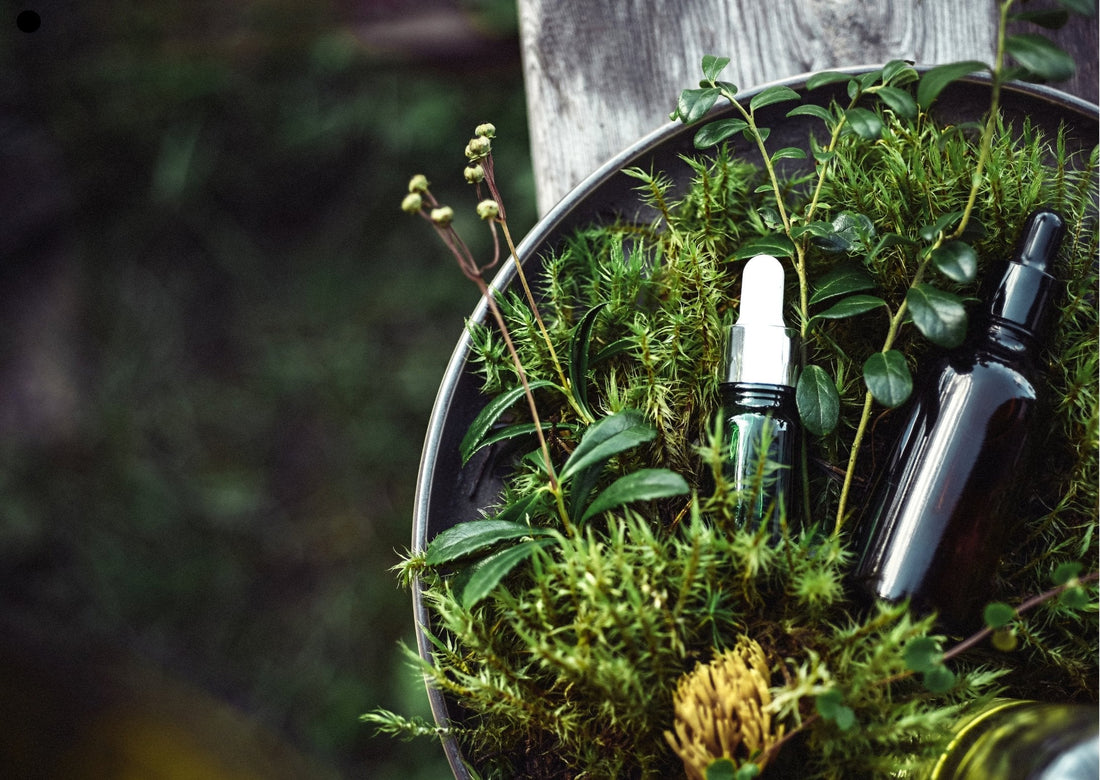 Assessing the Ecotoxicity and Sustainability of Your Skincare